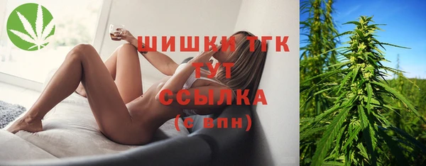 меф Инта