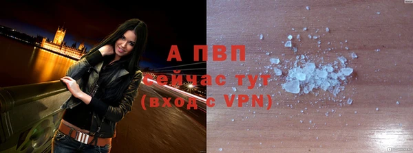 гидра Иннополис