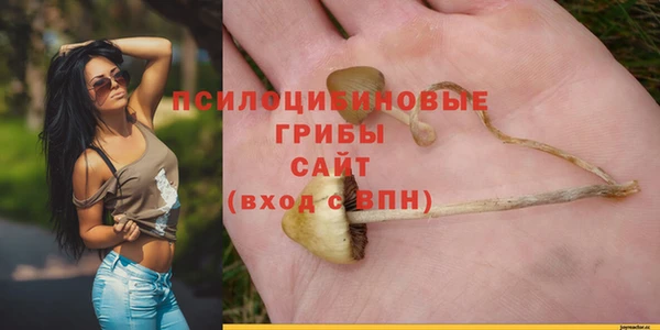 гидра Иннополис