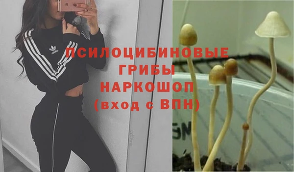 кокаин колумбия Инсар