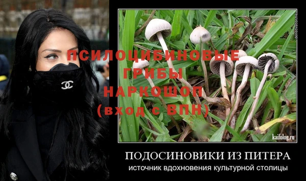 меф Инта